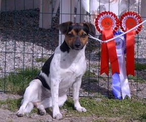 Inca 4.JPG